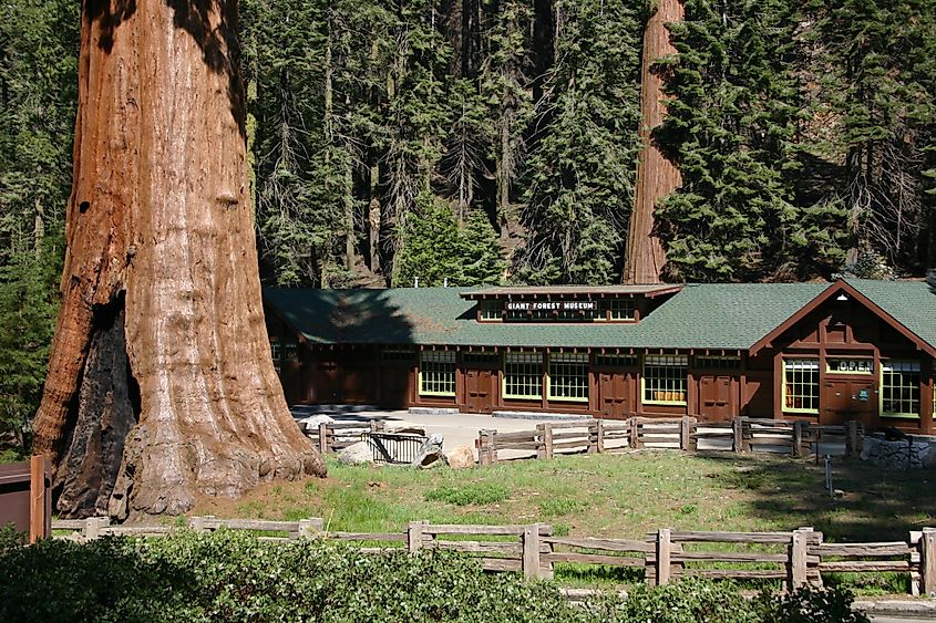 The Sequoia National Park Museum near Three Rivers, California.