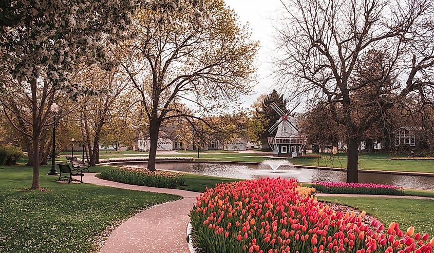 Tulips in Sunken Gardens Park, Pella, Iowa