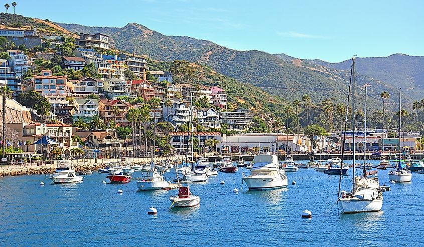 Boats anchored at Avalon Harbor with homes on the hillside in Santa Catalina Island off the coast of Southern California