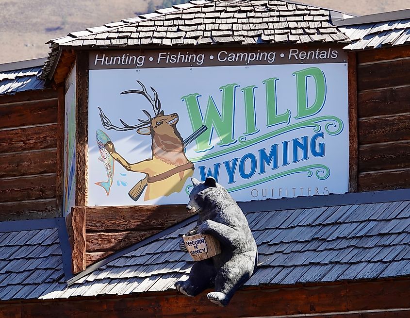 Wild Wyoming Outfitters store sign with bear statue on roof