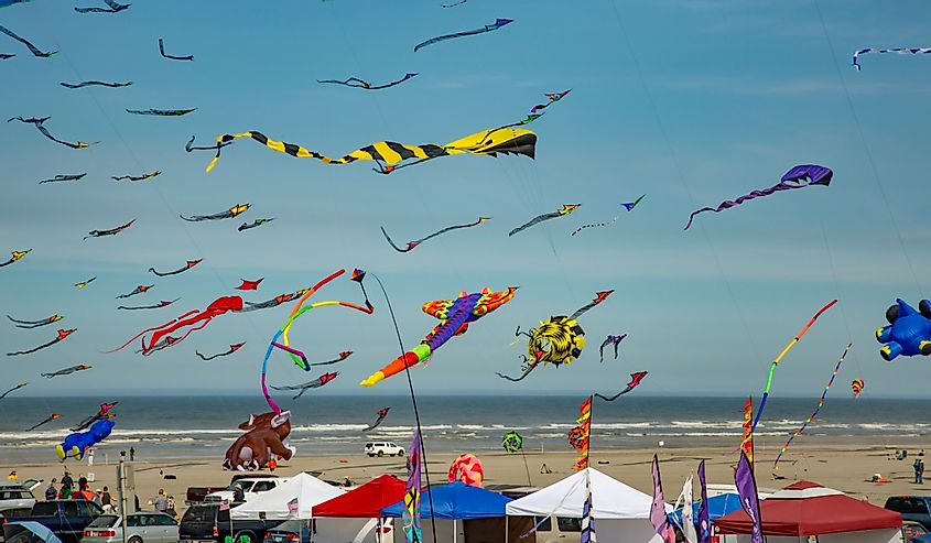 Washington State International Kite Festival at Long Beach.