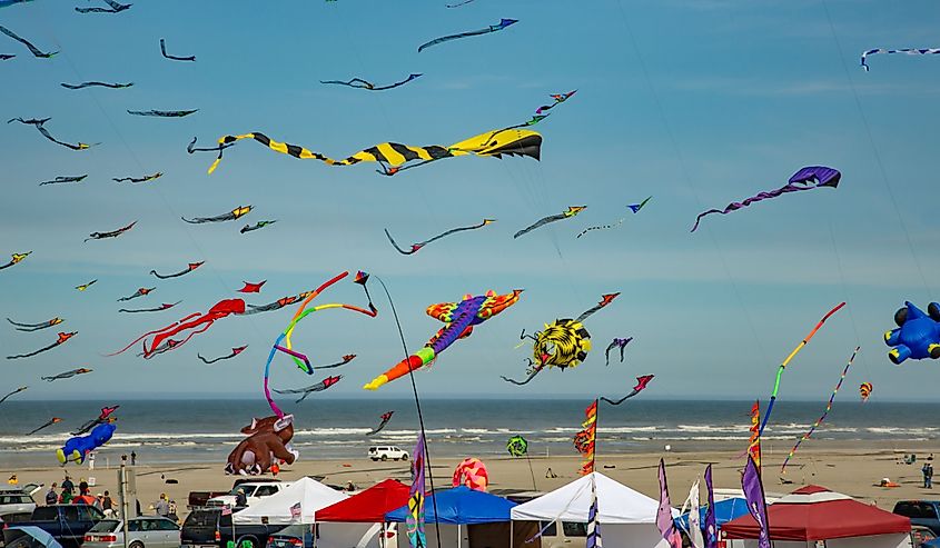 Washington State International Kite Festival at Long Beach.