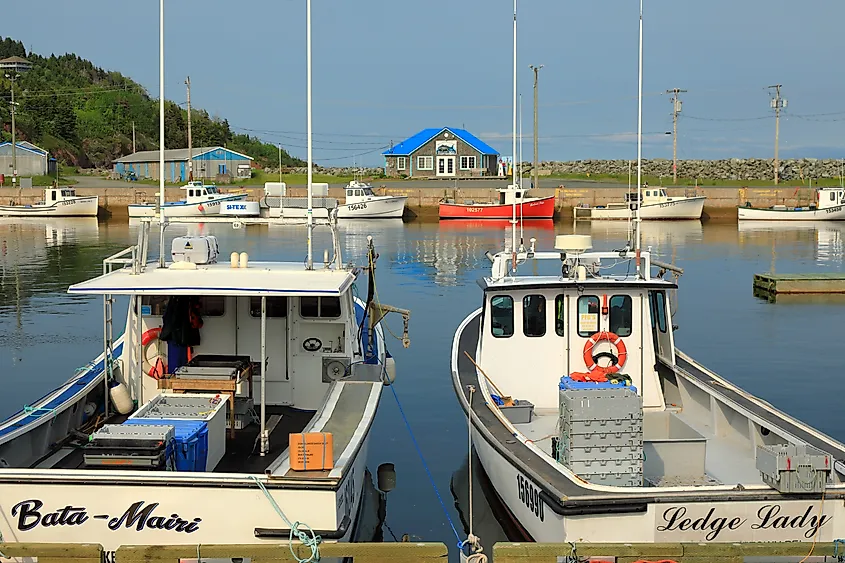 Two fishing boats, "Bata-Maire" and "Ledge Lady," docked at a calm harbor. In the background, small boats and a blue-roofed building are visible.