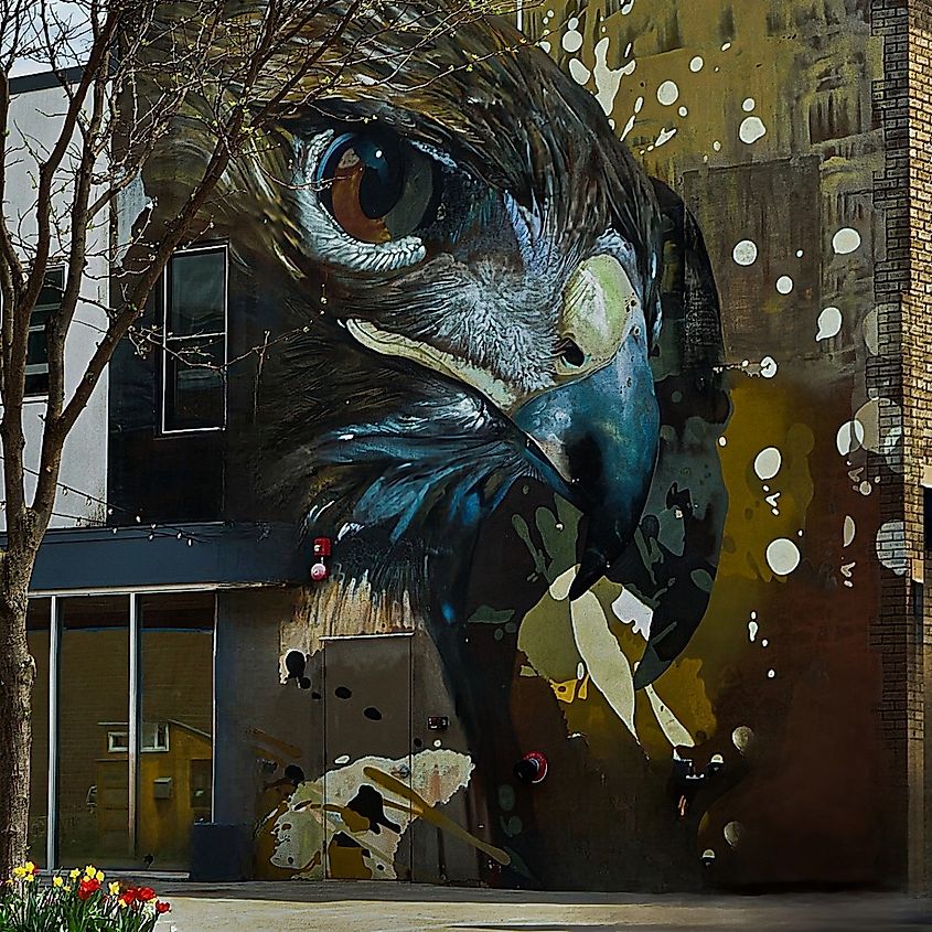 Mural is a wall in Downtown, Ithaca, New York.