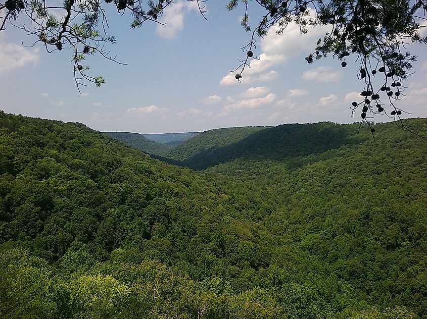 Savage Gulf State Natural Area, Tennessee.