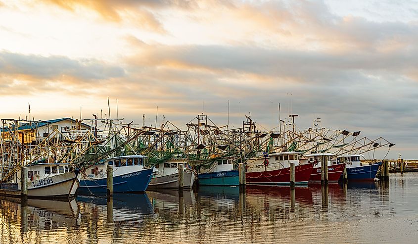 Shrimp boats on the harbor. Image credit Terry Kelly via Shutterstock.
