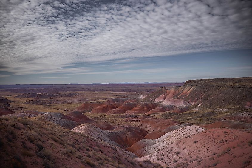 A roadside view of Petrified Forest National Park's colorful badlands. Photo credit: Brendan Cane.
