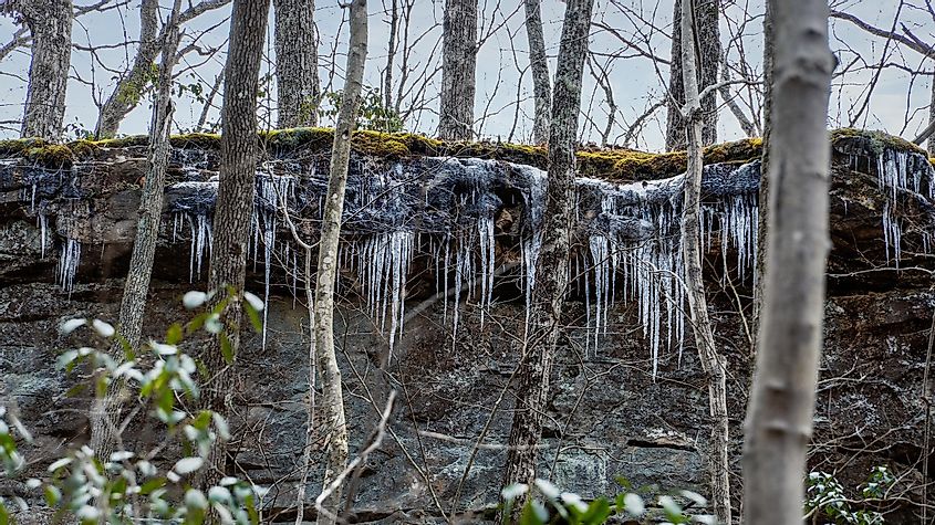 Icicles formed on a rocky cliff along the Shakerag Hollow Trail in Sewanee, Tennessee.