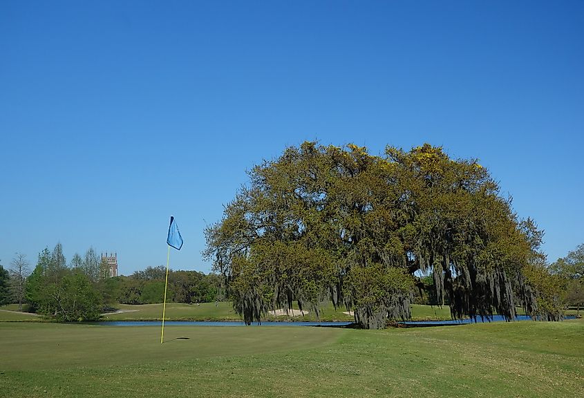 Audubon Park Golf Course in New Orleans.