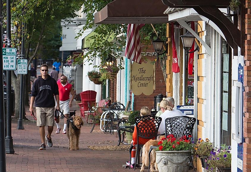 Main street in Davidson, via Cscdavidson on Wikipedia