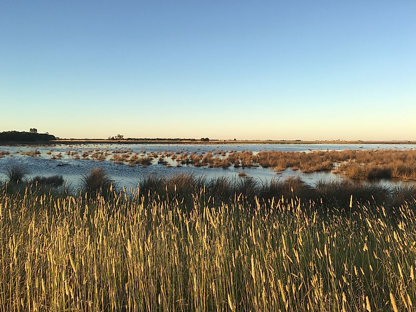 Bool Lagoon Conservation Reserve, South Australia