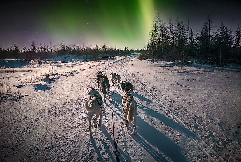 Aurora Boreal Canadiense