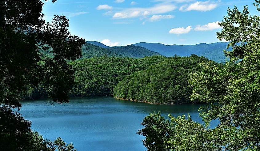 Looking at Fontana Lake, North Carolina through the trees