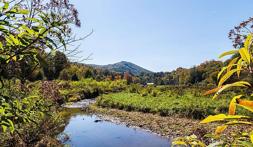 River in the forest, The Virginia Creeper Trail, Abingdon, Virginia.