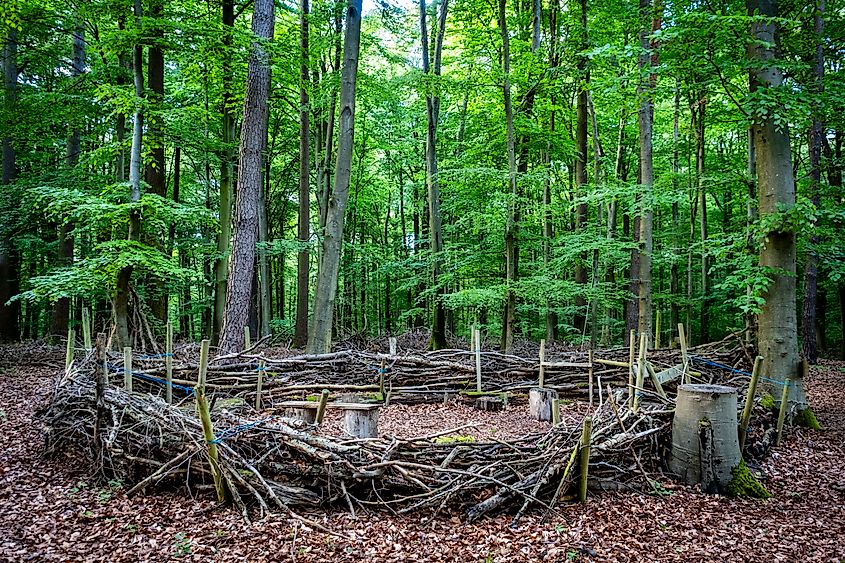 Structures in a forest kindergarten in spring