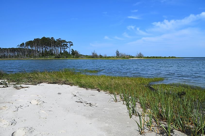 The Chesapeake Bay which borders Virginia, Maryland and Delaware.