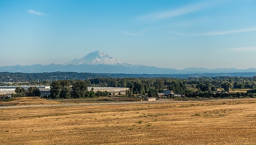 A view of Mount Rainier from Kent, Washington in late summer.