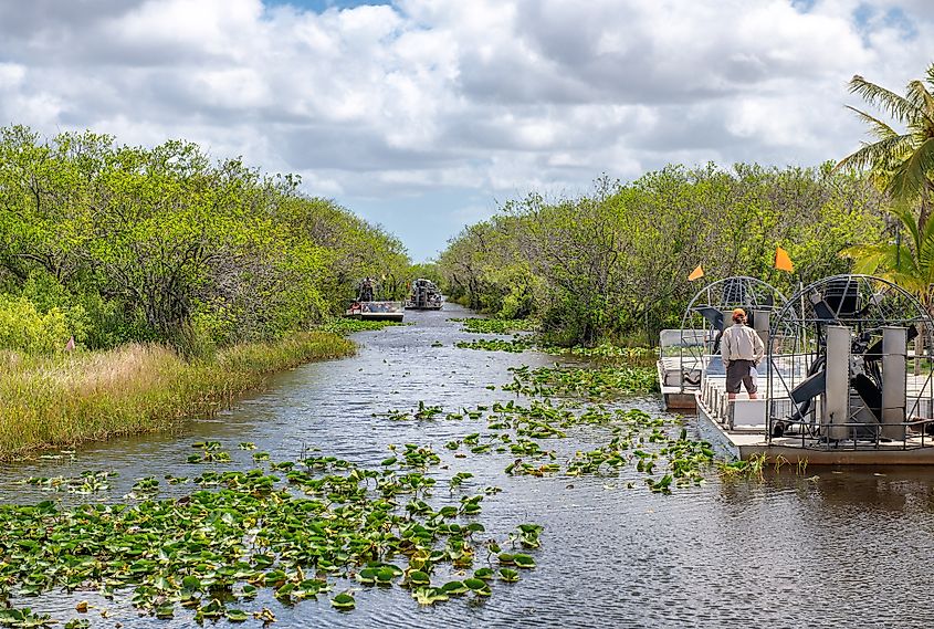 everglades