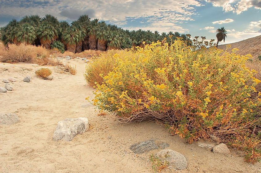 Coachella Valley