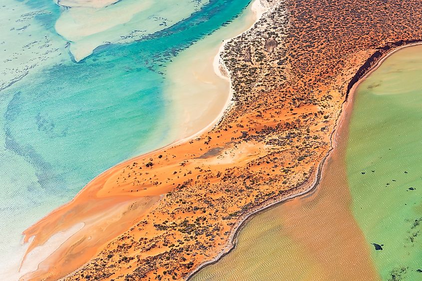 Shark Bay, Australia.