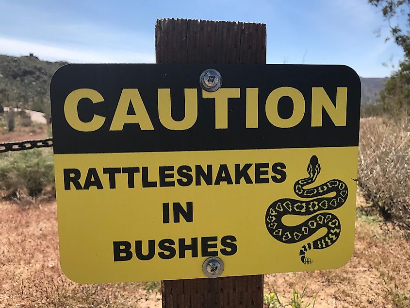 Joshua Tree, California, USA. March 29, 2019. Rattle Snake sign at the Joshua Tree National Park.