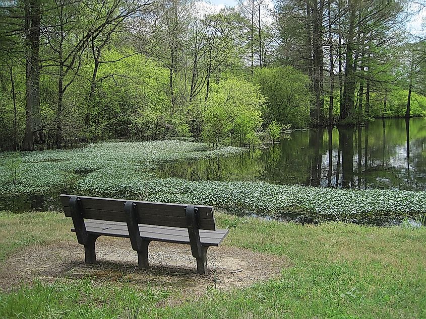 Wapanocca National Wildlife Refuge in Turrell, Crittenden County, Arkansas.