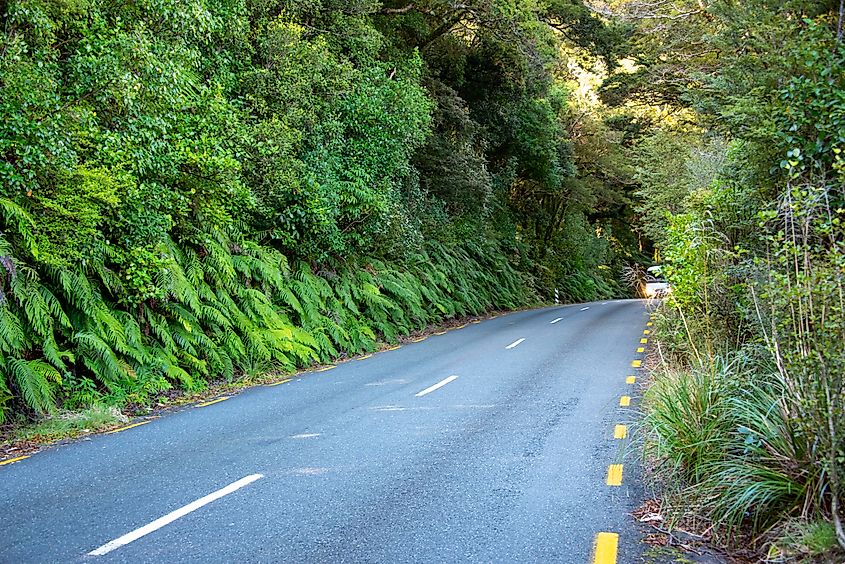 Milford Sound Highway 94 - New Zealand