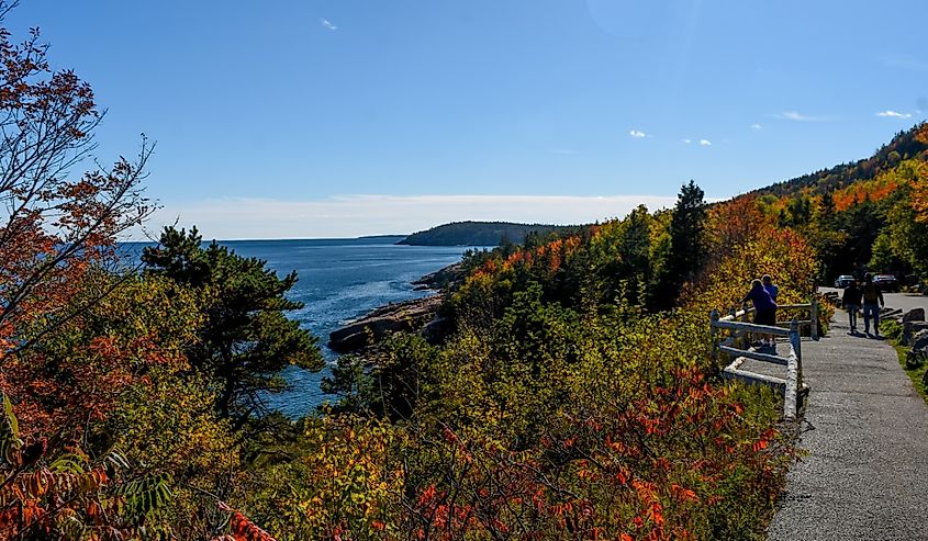 Ocean Path Walking Trail at Acadia National Park