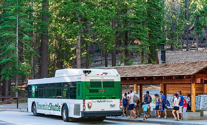 Mariposa Grove, California.