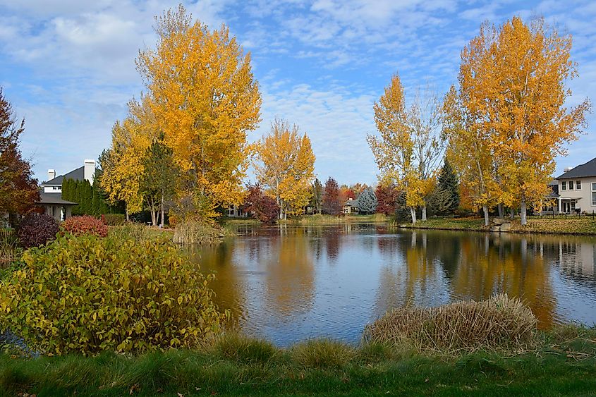 Autumn scene in Eagle, Idaho, featuring vibrant foliage reflecting in the tranquil waters. The landscape showcases a palette of red, orange, and yellow leaves against a backdrop of blue sky, making it a beautiful and peaceful destination in Ada County's Treasure Valley.