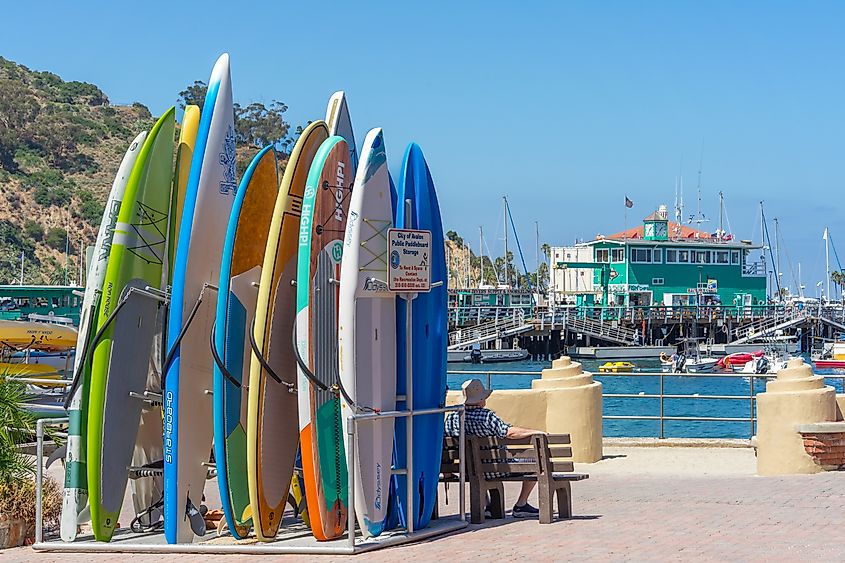 Surfboards stored along the waterfront in Avalon, California