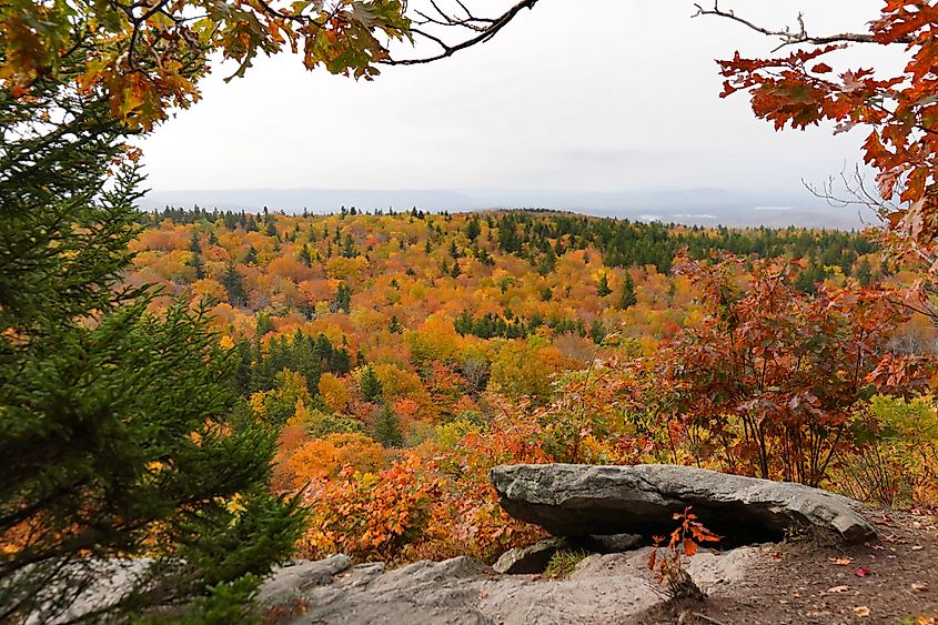 Spectacular fall colors at the Mount Greylock State Reservation, Massachusetts.