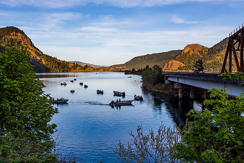 Fishing boats in White Salmon River in Washington.