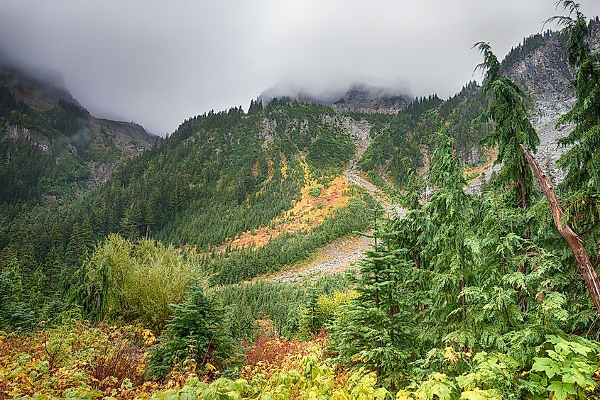 Wonderland Trail in Mount Rainier National Park