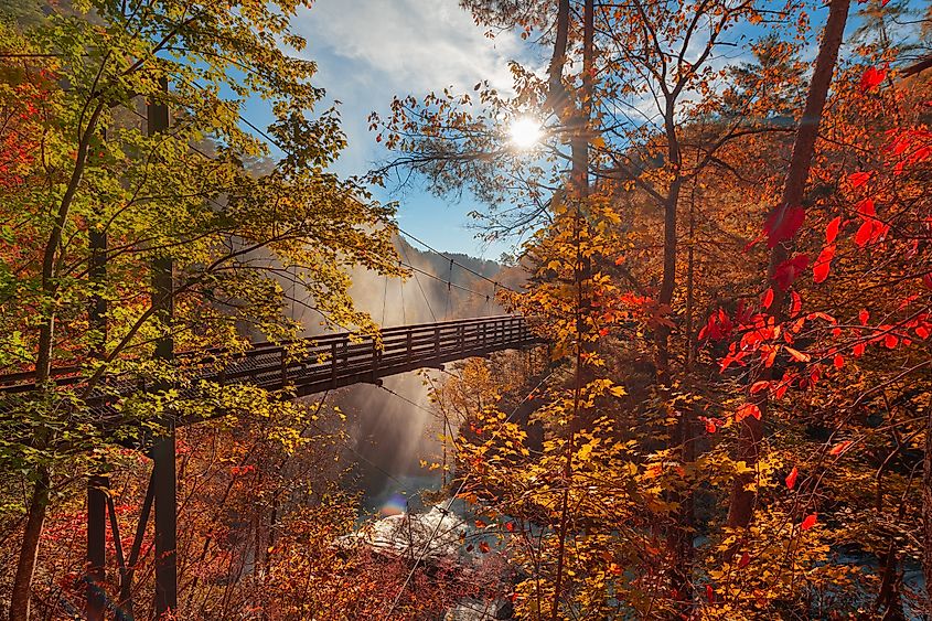 A wooden bridge spans a sunlit ravine surrounded by vibrant autumn foliage in red and orange hues. Sunbeams filter through the trees, creating a serene atmosphere.