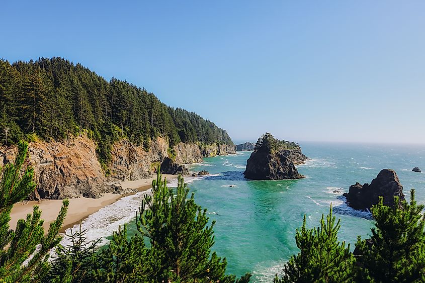 Sea stacks and rocky coves seen from a headland trail at Sue-meg State Park, California.