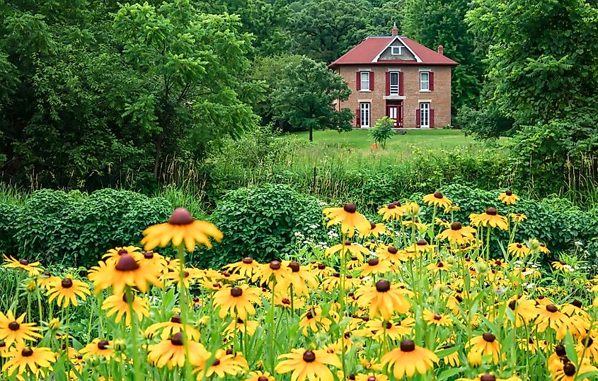 Flowers blooming at the Fish hatchery in Decorah, Iowa.