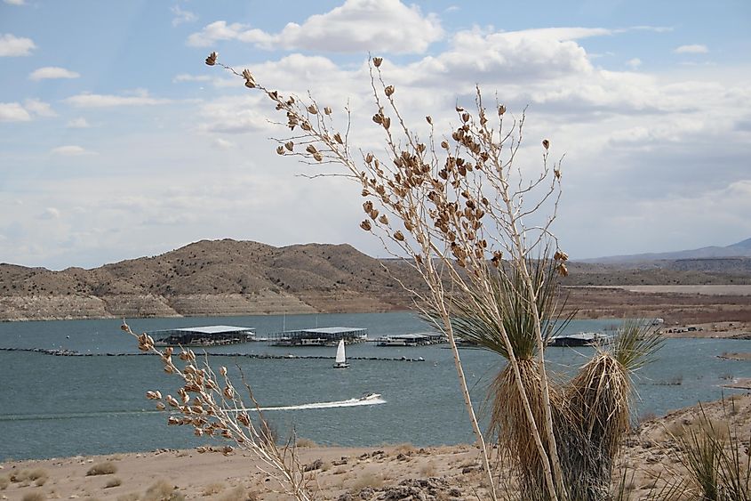 Boats on the lake and the marina on Elephant Butte Lake in southern New Mexico