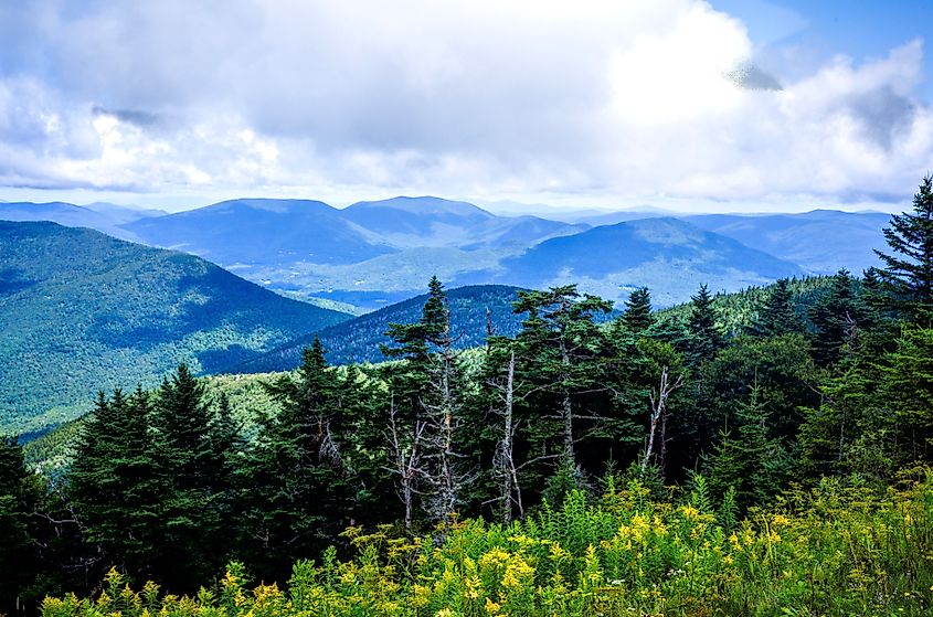 View from the Mount Equinox Skyline Drive.