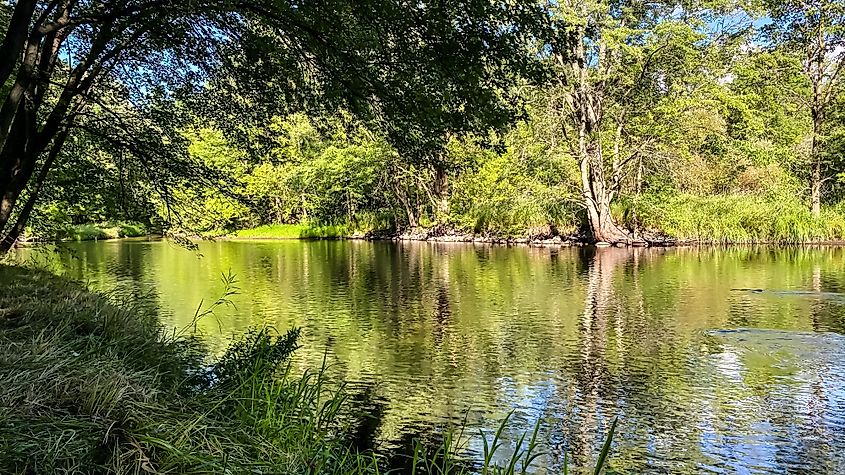 Little Wolf River in Symco Wisconsin on a Summer Day