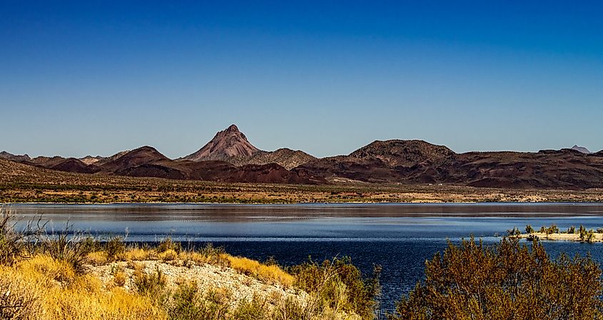 Alamo Lake State Park in Arizona on the Bill Williams River.