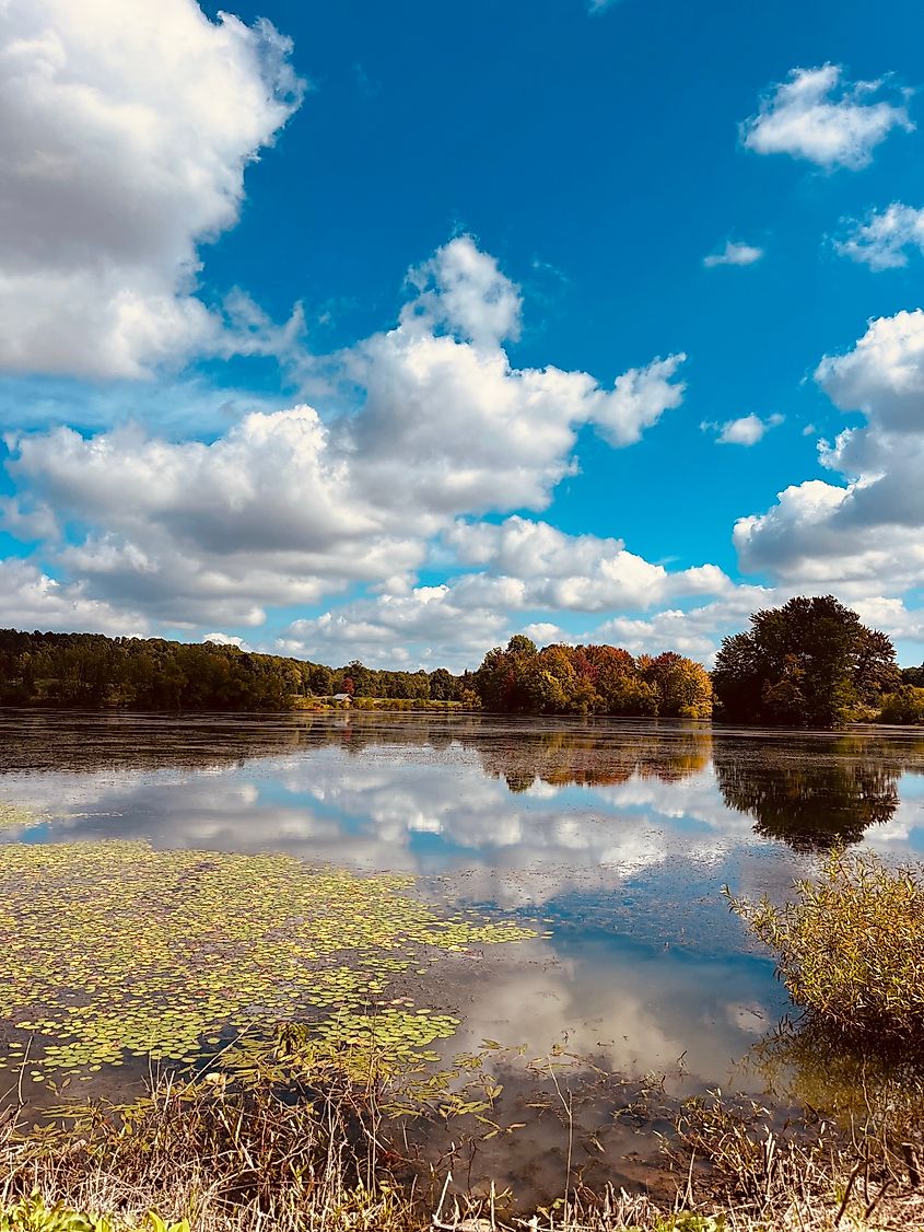 Holden Arboretum in the fall. Credit: Midwest Travel Eudaimonia/Shutterstock.com