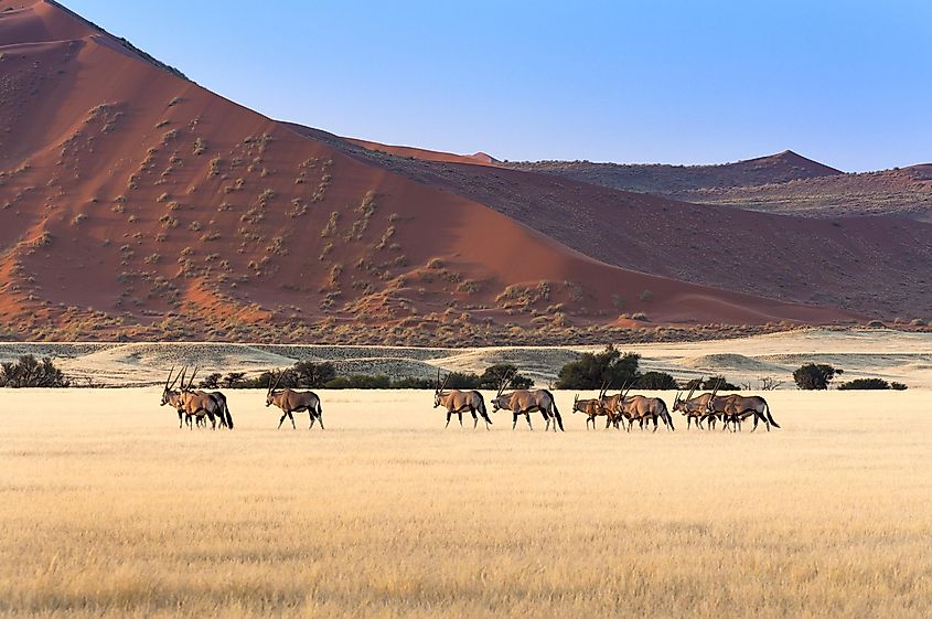 Namibia landscape