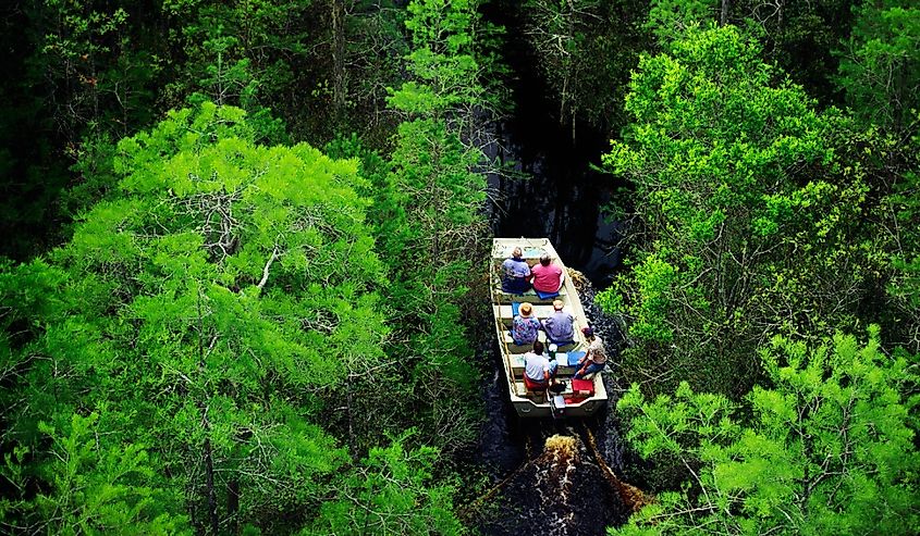 Okefenokee National Wildlife Refuge in the state of Georgia, USA. Tour boat ride into forest growing from the black swamp water