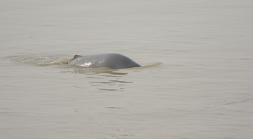 River Indus