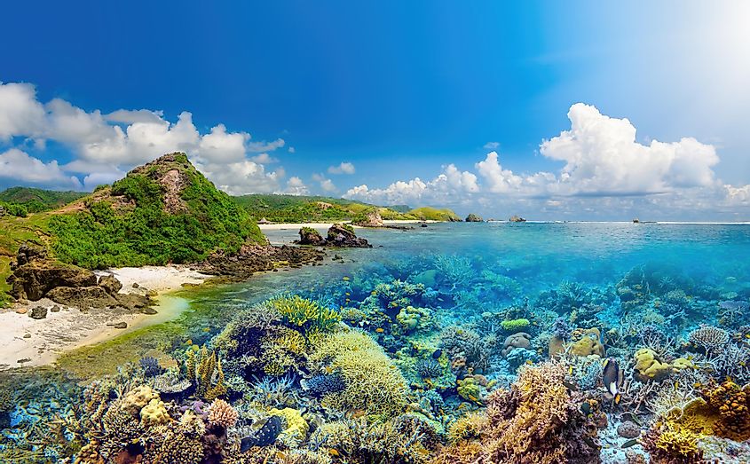 Beatiful coral reef around island Lombok, Indonesia