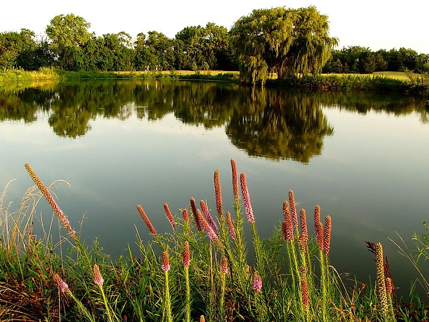 Dyck Arboretum of the Plains, Hesston, Kansas.