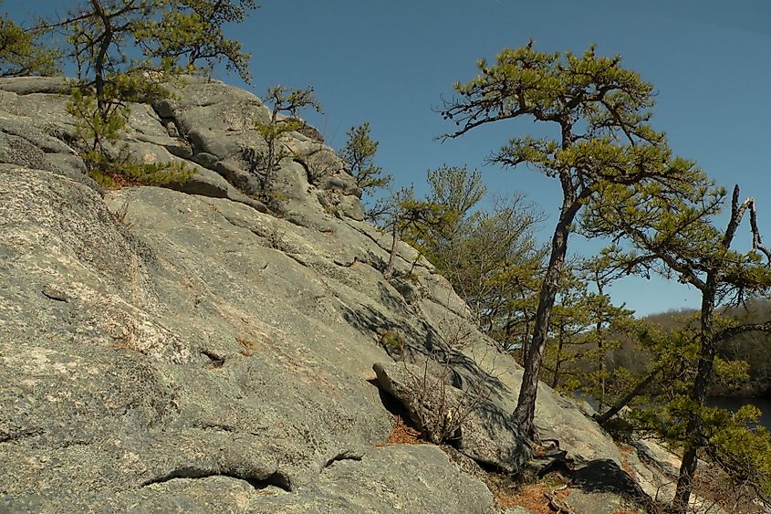 Long Pond Woods (Hopkinton, Rhode Island)