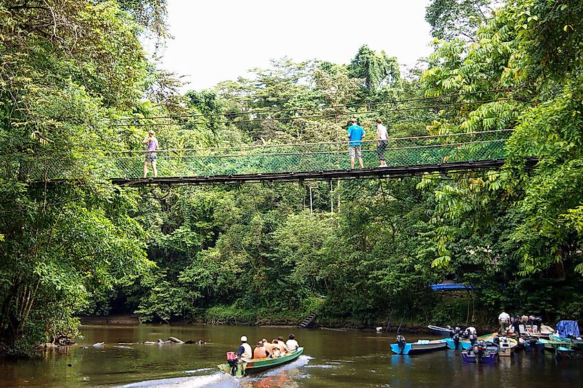 Mulu National Park