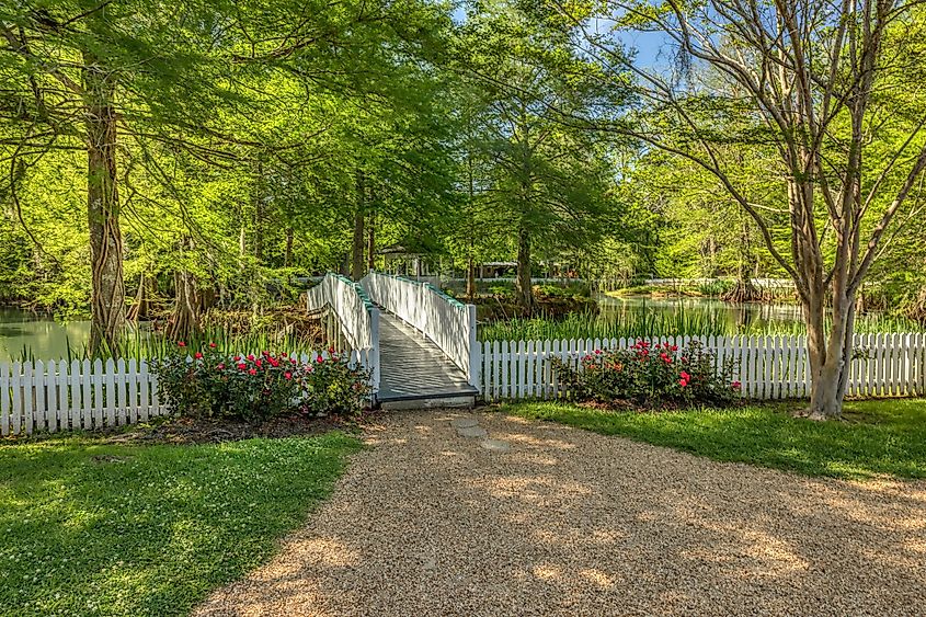 Myrtles Plantation in St Francisville, Louisiana.